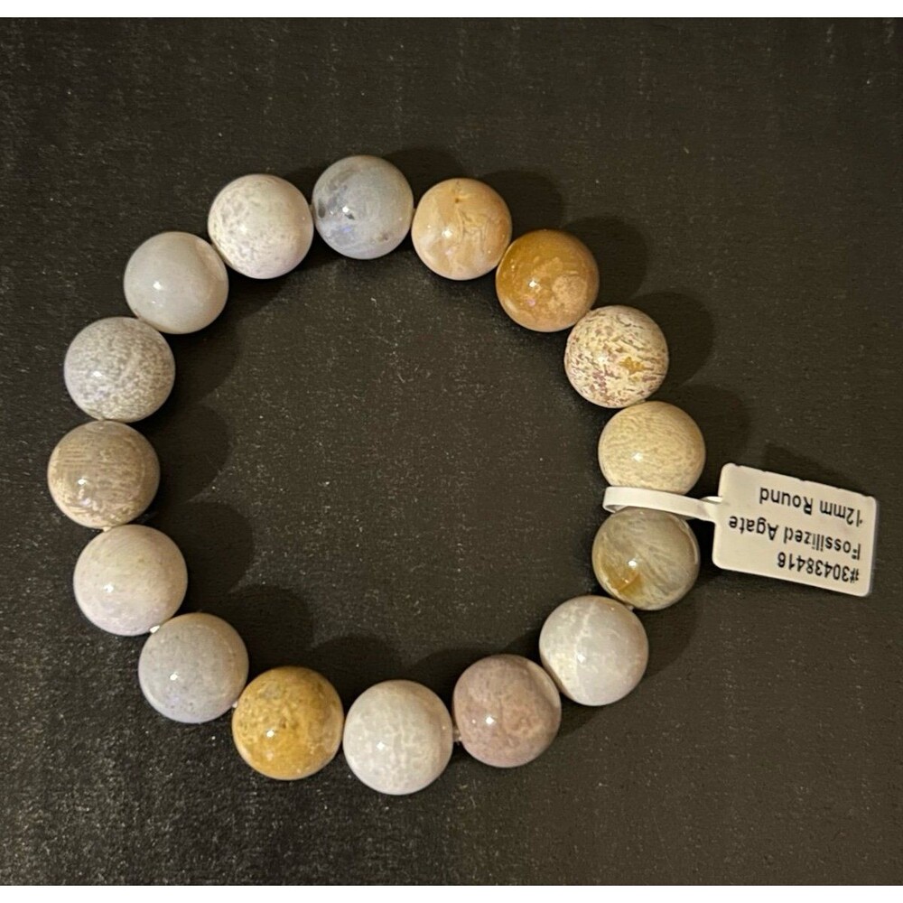 Fossilized Agate 12mm Bead Stretch Bracelet